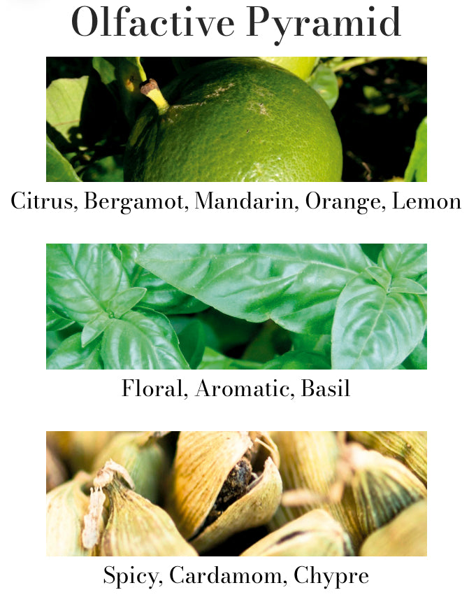 Basil & Mandarin