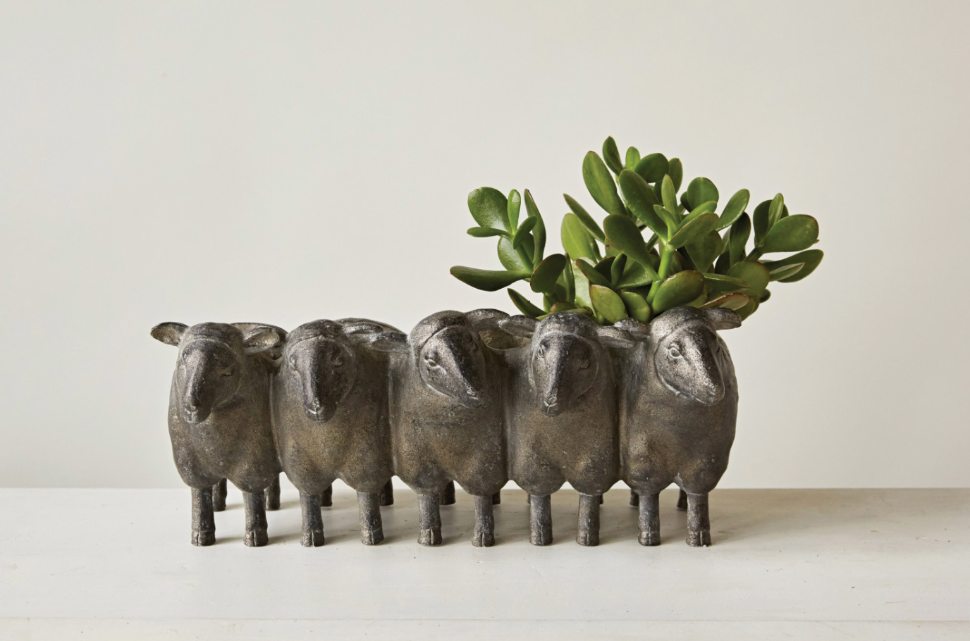 Sheep Planter