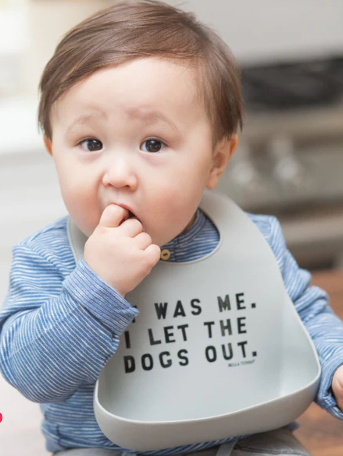 Wonder Bib