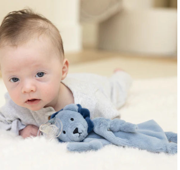 Pacifier Buddy