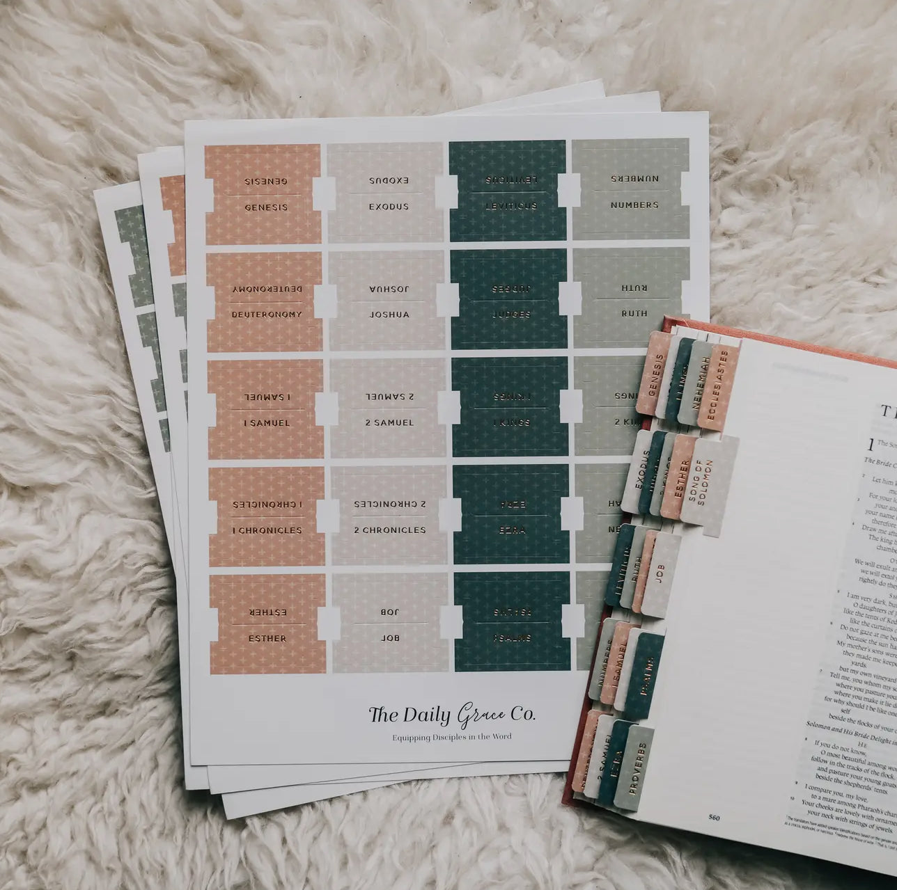 Bible Tabs