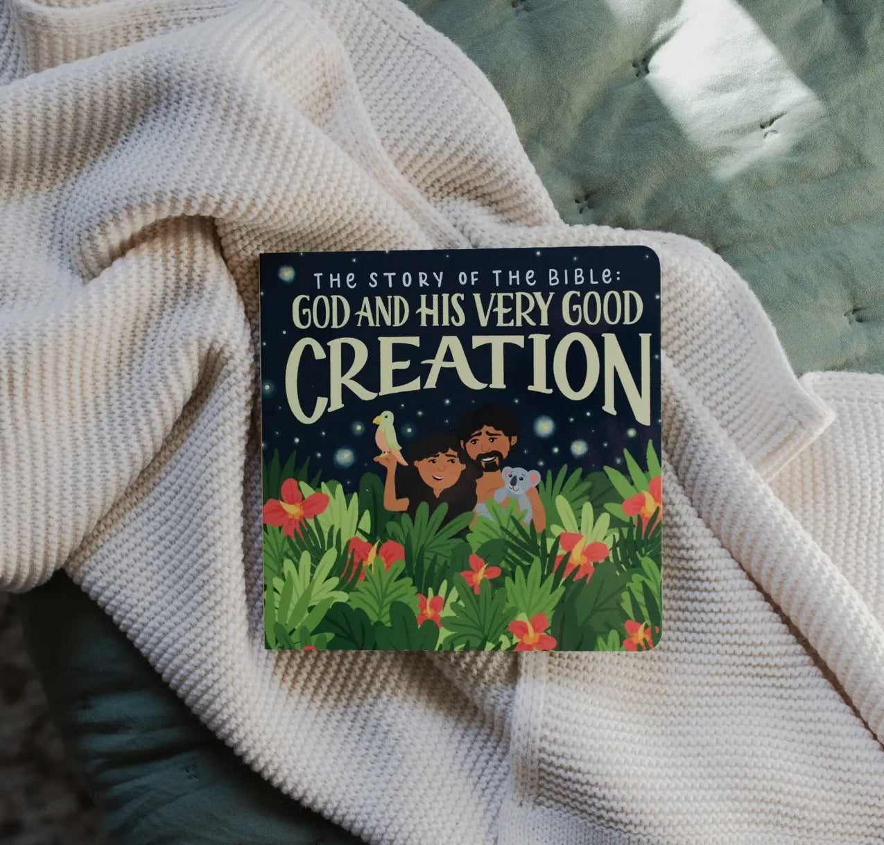 The Story of the Bible: God and His Very Good Creation