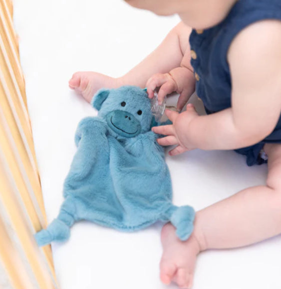 Pacifier Buddy