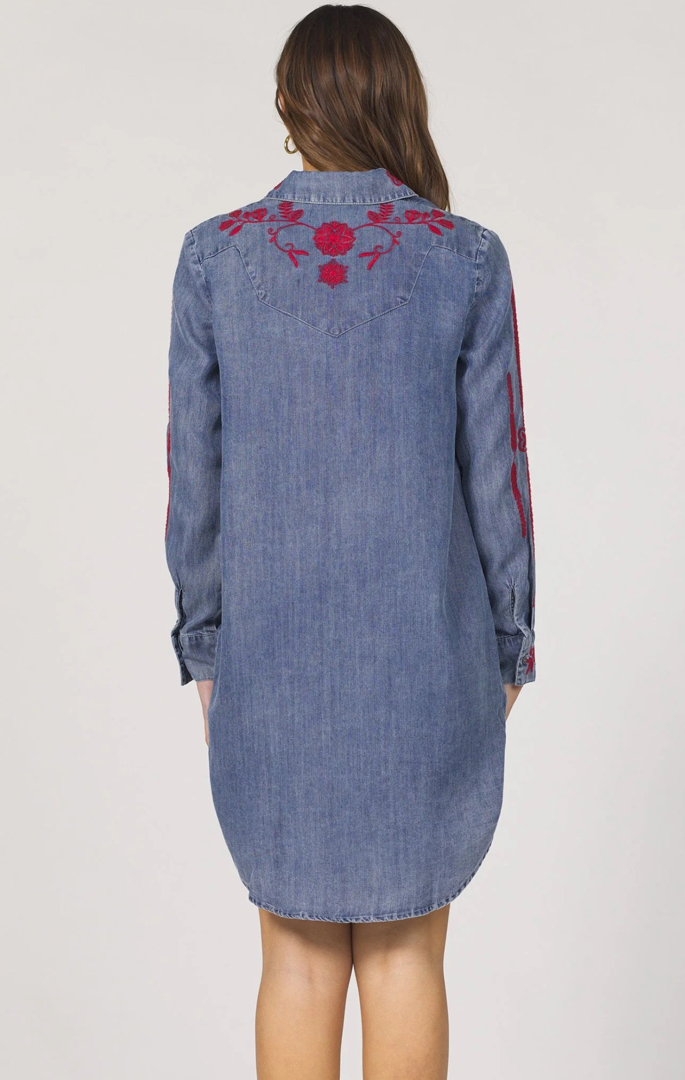 Bertin Novelty Dress