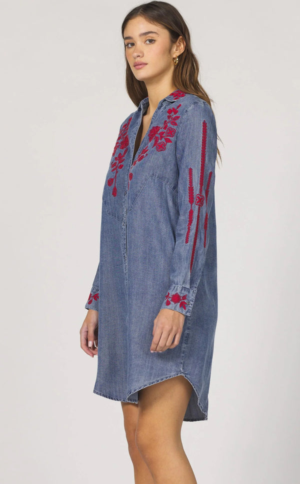 Bertin Novelty Dress