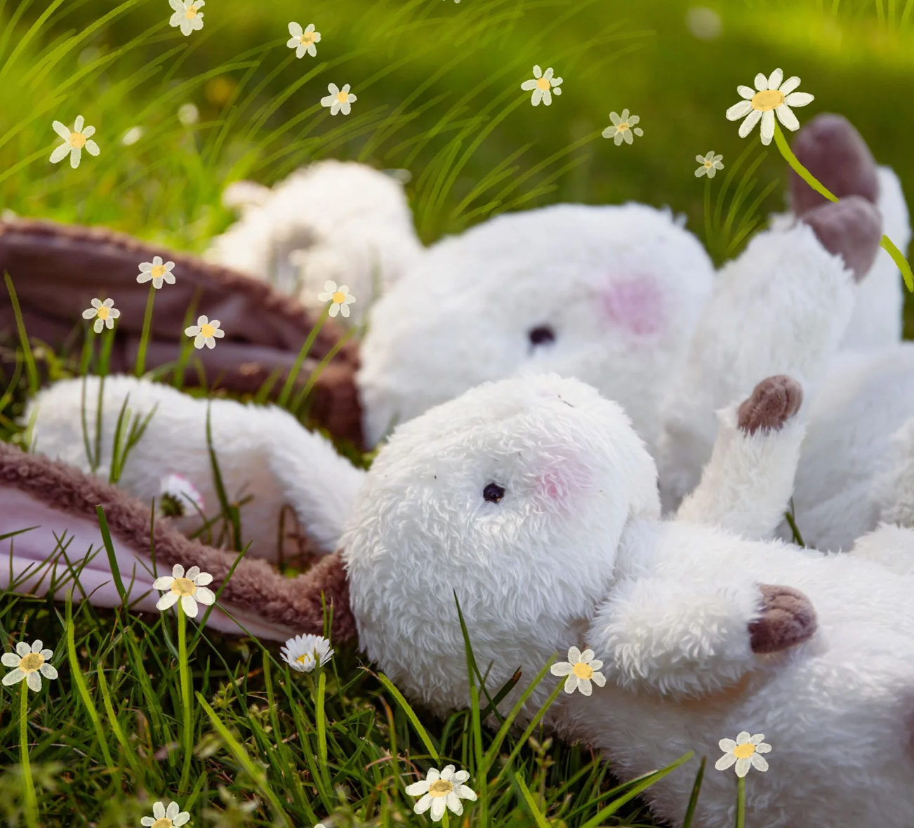 Herby Hare