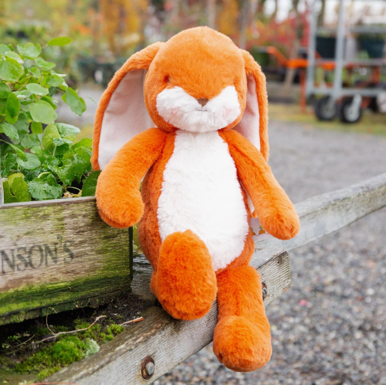 Little Floppy Nibble Bunny
