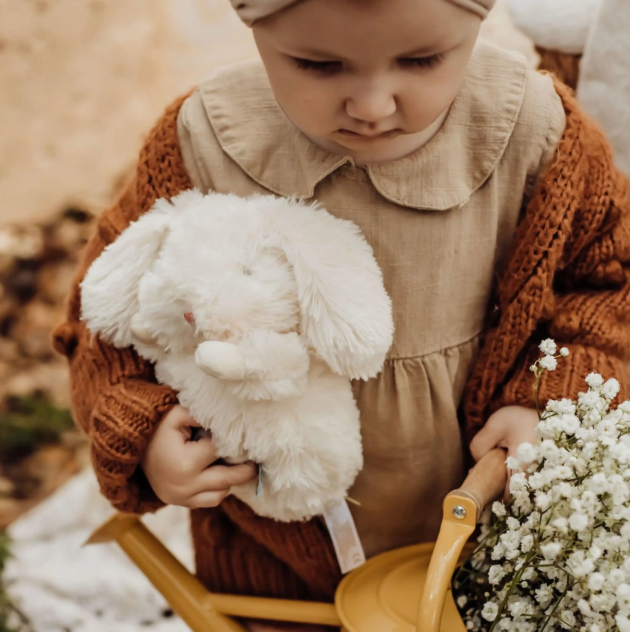 Wee Rutabaga the Bunny
