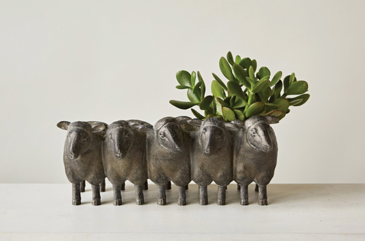 Sheep Planter