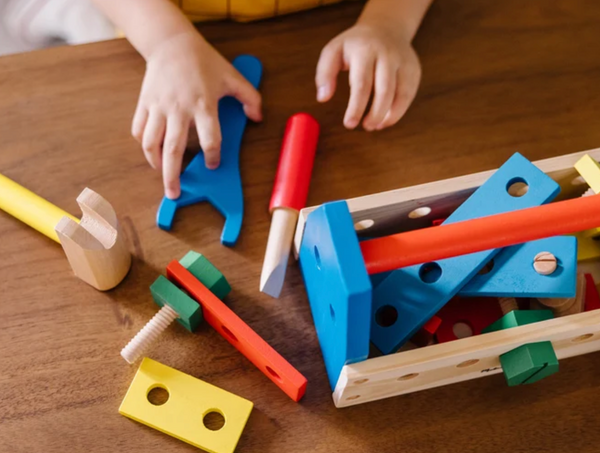 Take-Along Tool Kit