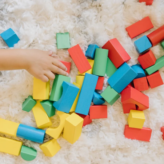 100 Wood Blocks Set